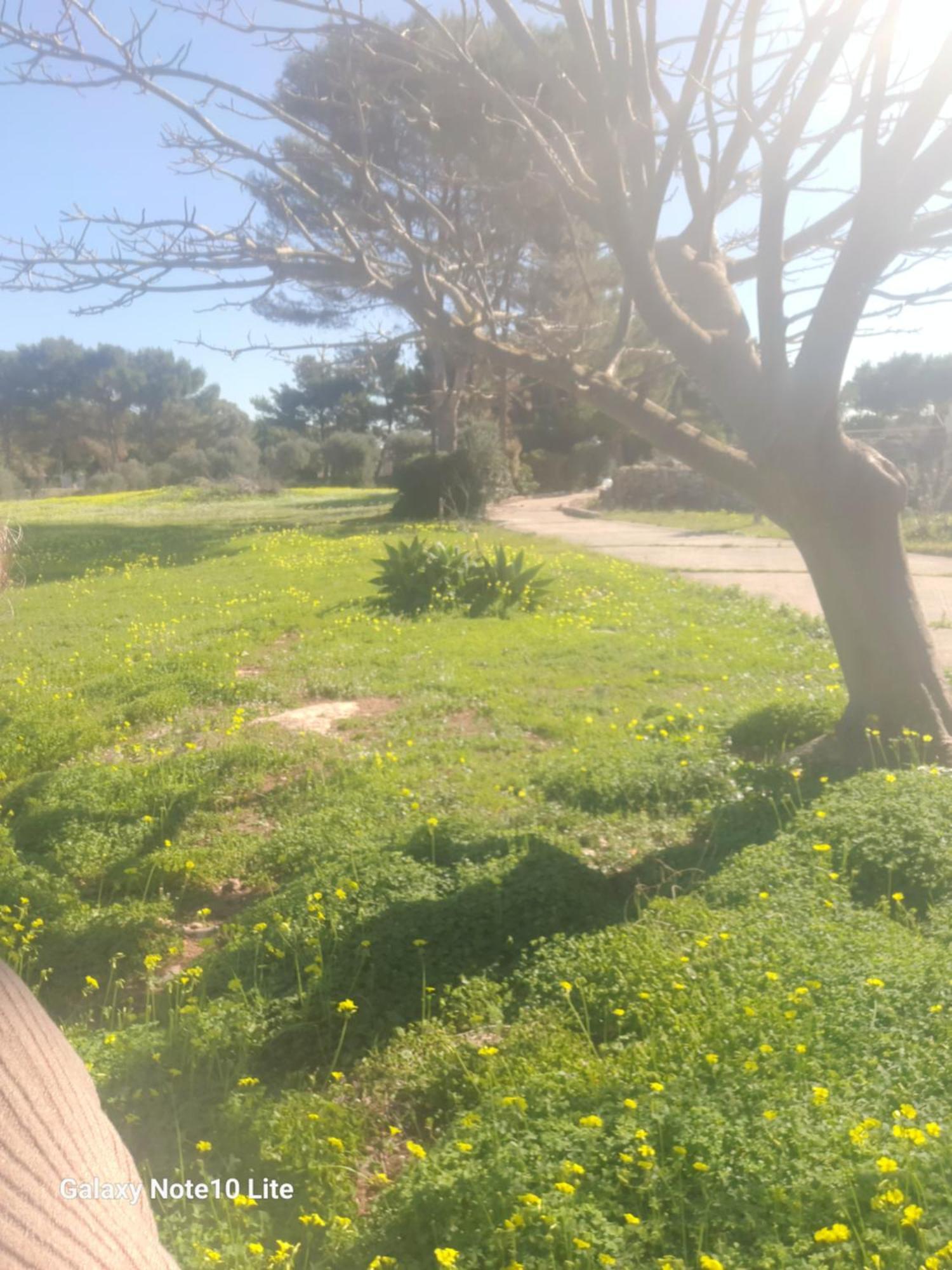 Sogni nel Blu Favignana Villa Esterno foto