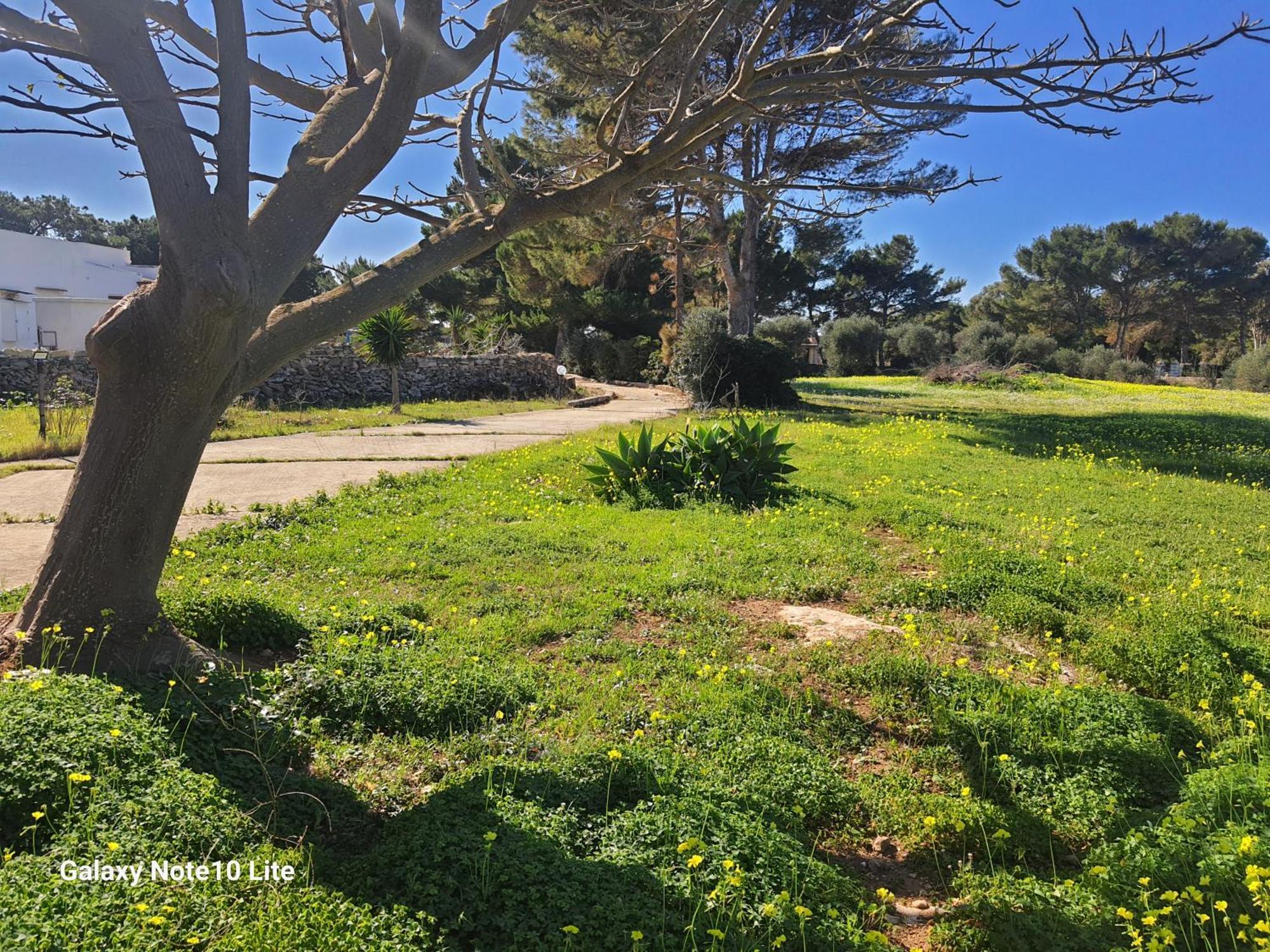 Sogni nel Blu Favignana Villa Esterno foto