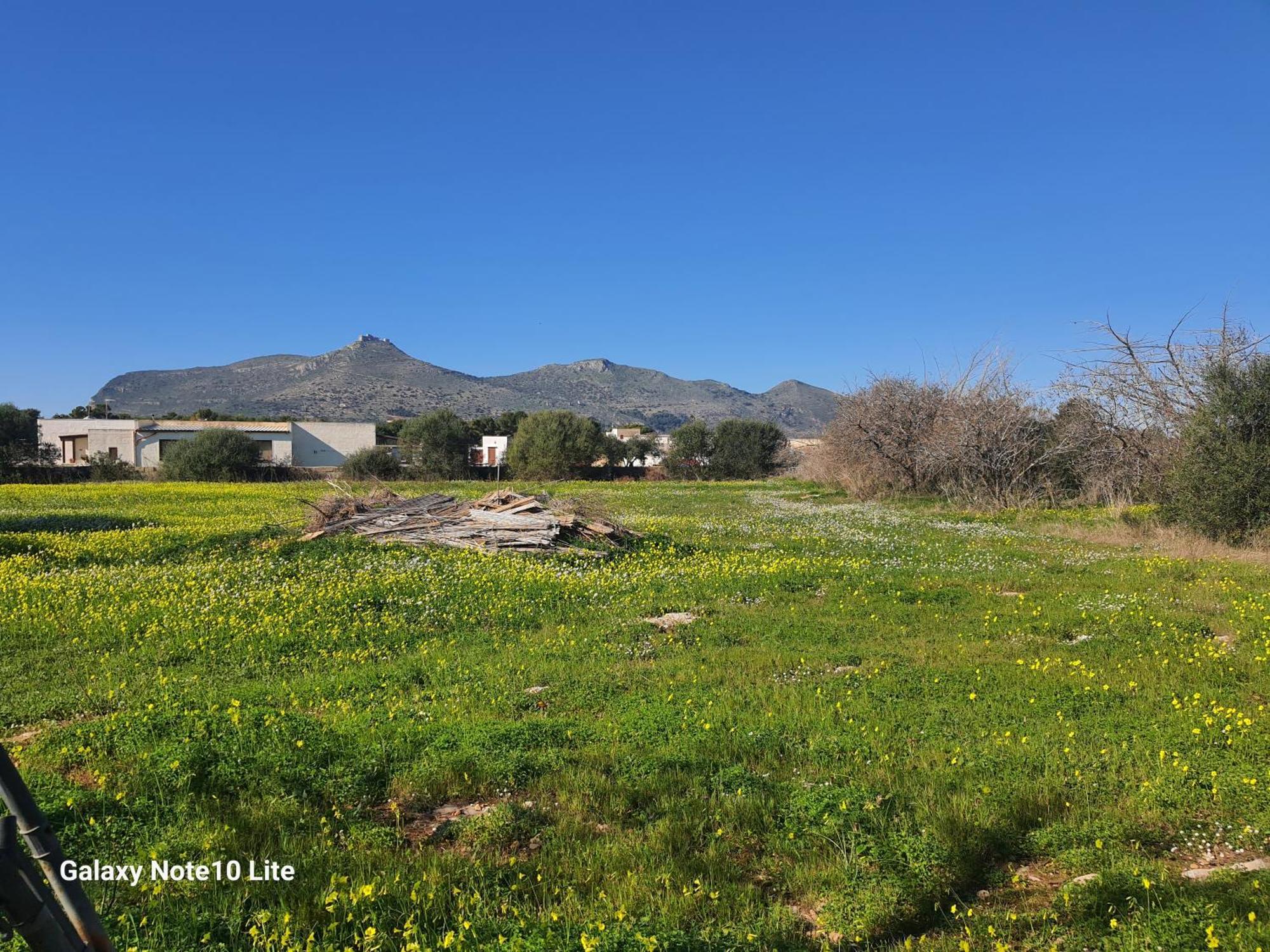Sogni nel Blu Favignana Villa Esterno foto