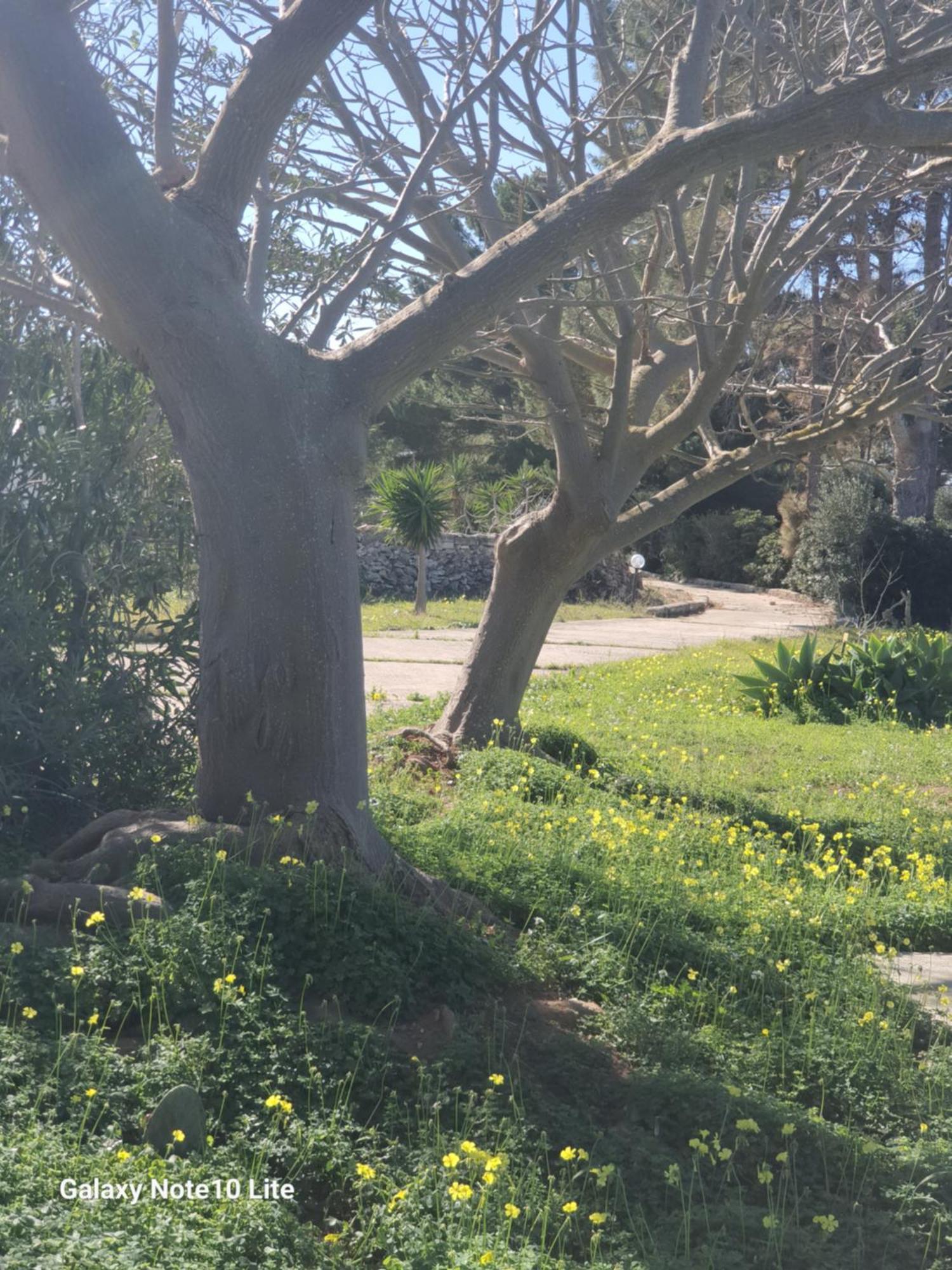 Sogni nel Blu Favignana Villa Esterno foto