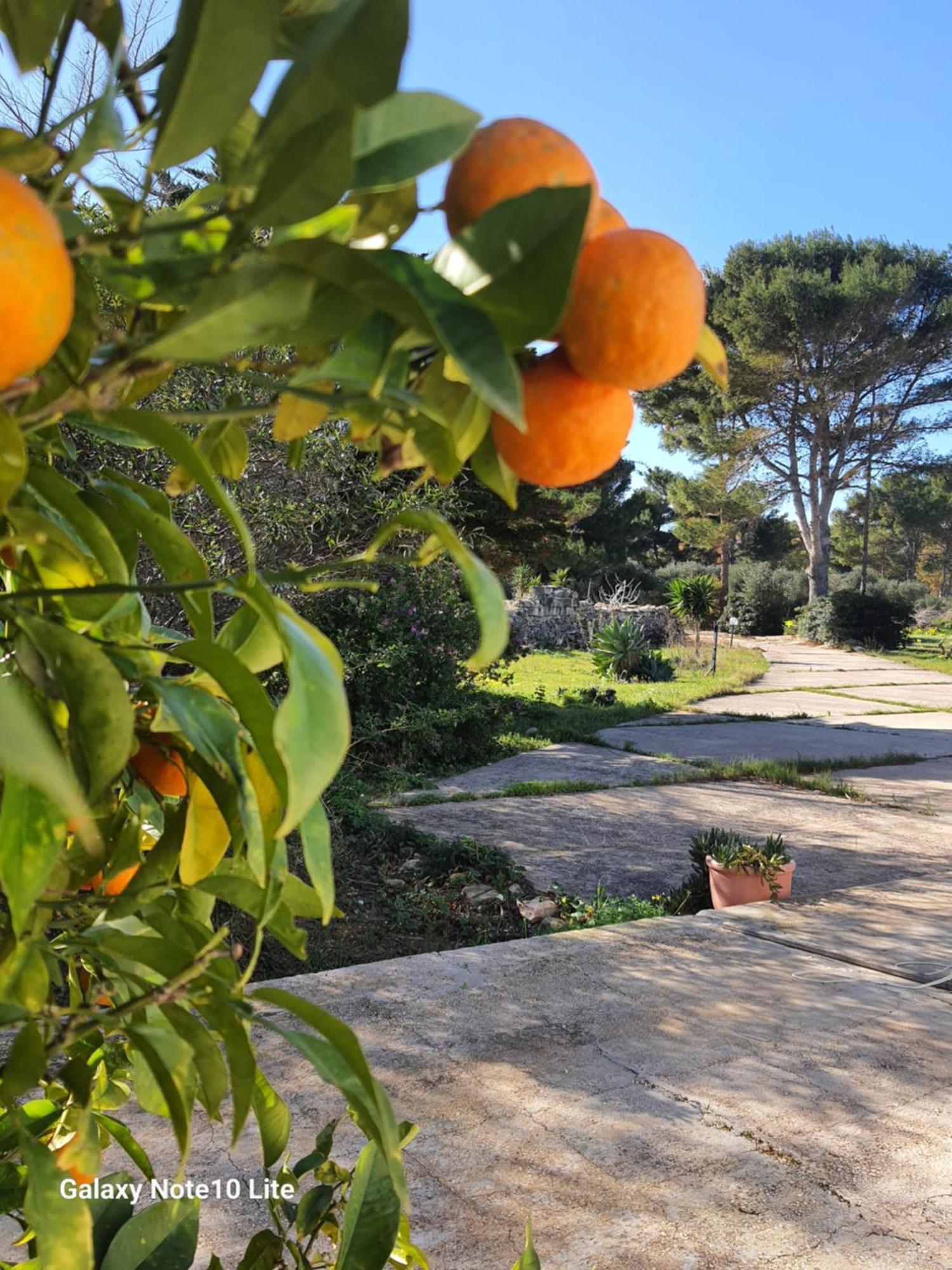 Sogni nel Blu Favignana Villa Esterno foto